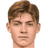 Nikola Cavlina
